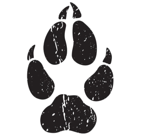 Empreinte de Wolf